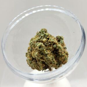 Butterscotch - Indica - 3.5g THC 14-18%