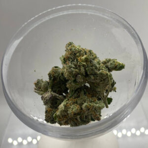Laughing Buddha - Sativa 7g THC 16-19%